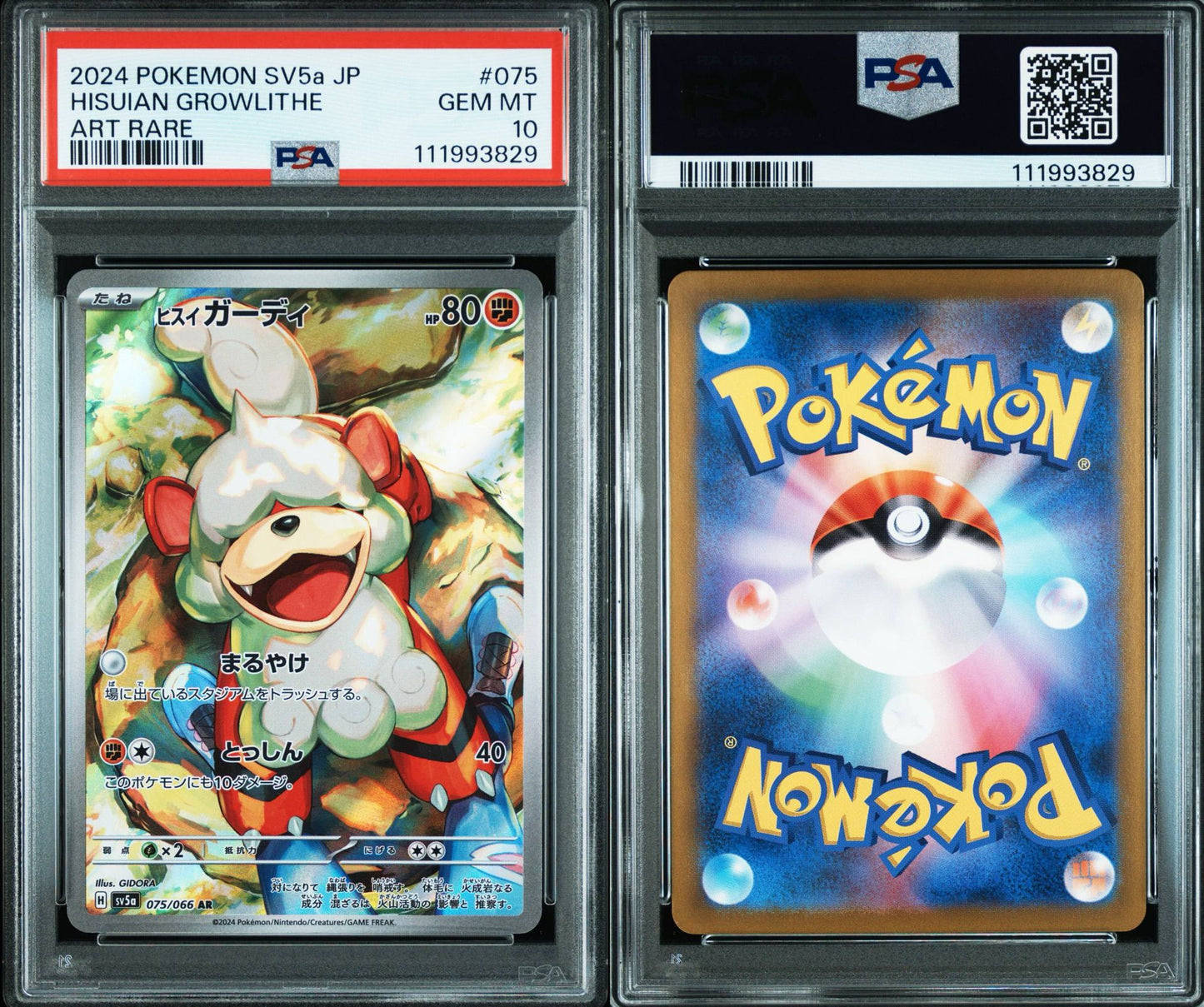 Perrin & Hisuian Growlithe (Sequential Number) image 1